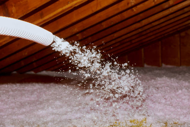 Best Insulation Materials and Products in St Andrews, SC