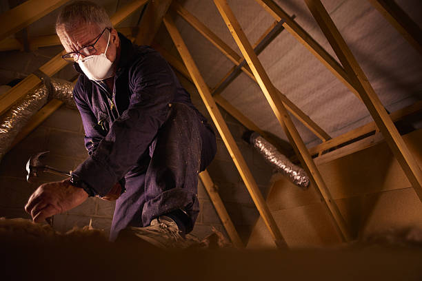 Best Insulation for Specific Applications in St Andrews, SC
